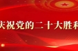 习近平参加党的二十大广西代表团讨论