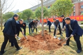 柳州市工人医院开展植树节系列活动